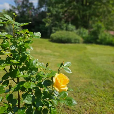 Orehite-family ,food & Pool Casa de hóspedes 3*