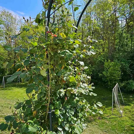 Orehite-family ,food & Pool Casa de hóspedes