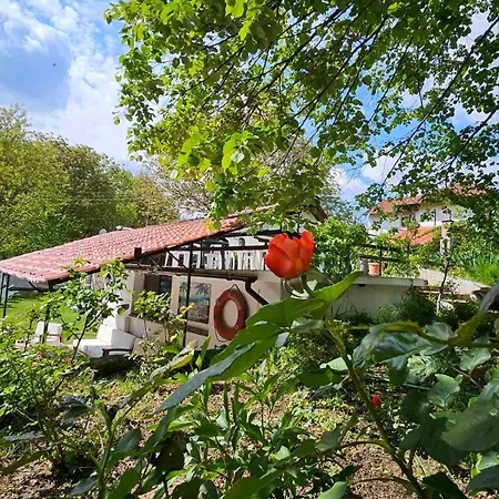 Orehite-family ,food & Pool 3*