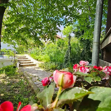Maison d'hôtes Orehite-family ,food & Pool Bozhichen