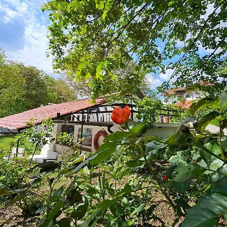 Orehite-family ,food & Pool 3* Bozhichen