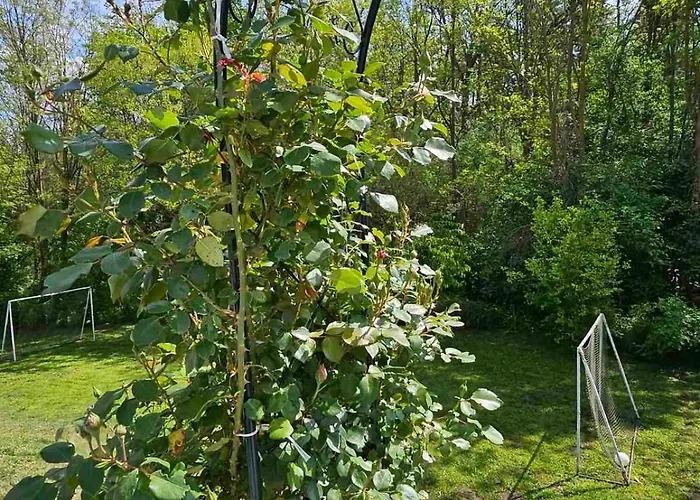 Gasthuis Orehite-family ,food & Pool Bozhichen